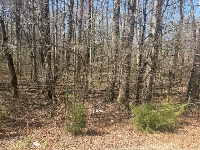 13.42 ACRES - TRACT 9 HWY 22A JACKS CREEK TN — PHOTO / SURVEY 7