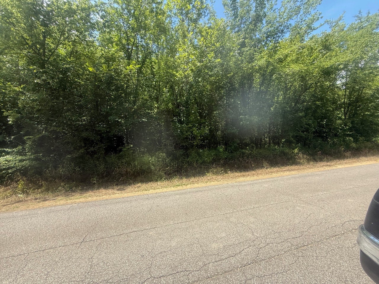 5.08 ACRES - TRACT 4 COFFEE LANDING RD — PHOTO / SURVEY 6