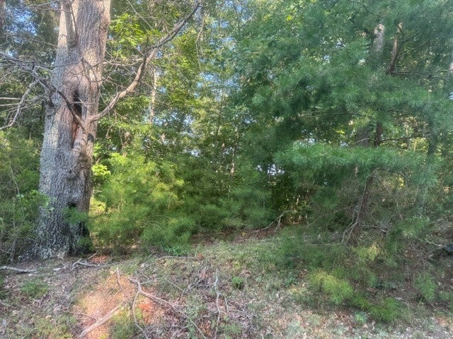 22.53 ACRES - COMBINED TRACTS 1, 2, 3 & 4 CARROLL HOLLOW RD WAYNESBORO TN — PHOTO / SURVEY 5