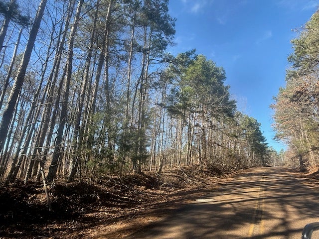 $1,000 DOWN! 12 ACRES - TRACT 7 HARRIS RD, BOLIVAR - OWNER FINANCING — PHOTO / SURVEY 4