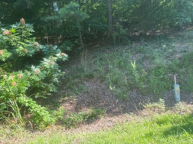 16.54 ACRES - COMBINED TRACTS 7, 8 & 9 CARROLL HOLLOW RD WAYNESBORO TN — PHOTO / SURVEY 10