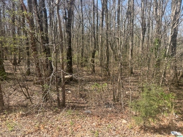 13.42 ACRES - TRACT 9 HWY 22A JACKS CREEK TN — PHOTO / SURVEY 9
