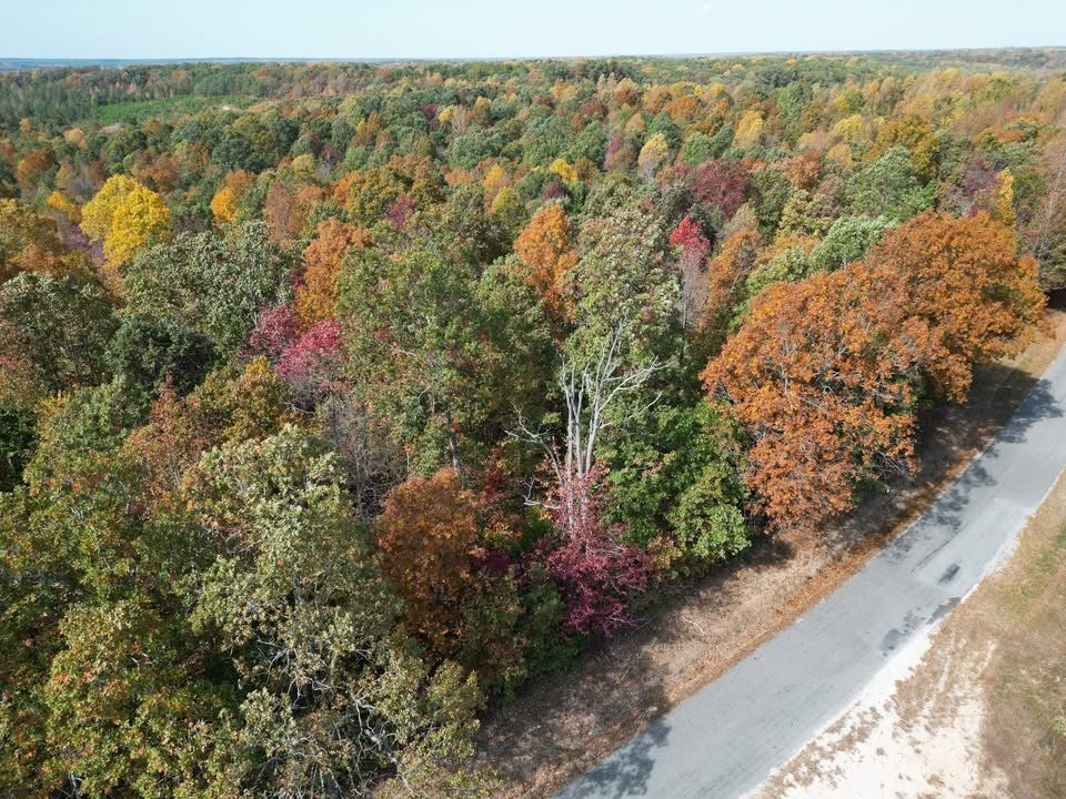 6.49 ACRES - TRACT 4 PURDY RD HUNTINGDON, TN — PHOTO / SURVEY 6