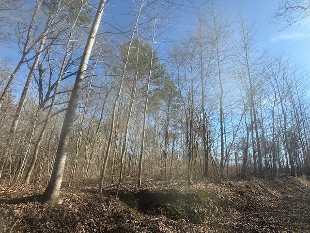 TRACT 1 GEORGE WALTER RD BOLIVAR, TN  8.92 ACRES — PHOTO / SURVEY 7