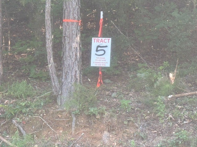 16.07 ACRES - COMBINED TRACTS 5 & 6 CARROLL HOLLOW RD WAYNESBORO TN — PHOTO / SURVEY 2