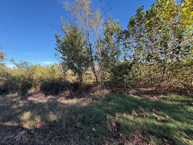 13.1 ACRES - TRACT 3 OVERTON LOOP — PHOTO / SURVEY 14