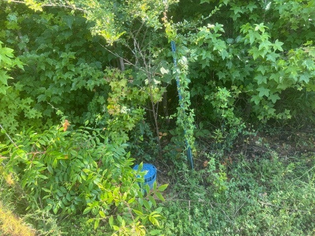22.53 ACRES - COMBINED TRACTS 1, 2, 3 & 4 CARROLL HOLLOW RD WAYNESBORO TN — PHOTO / SURVEY 11