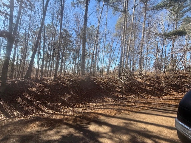 $1,000 DOWN! 12 ACRES - TRACT 7 HARRIS RD, BOLIVAR - OWNER FINANCING — PHOTO / SURVEY 12