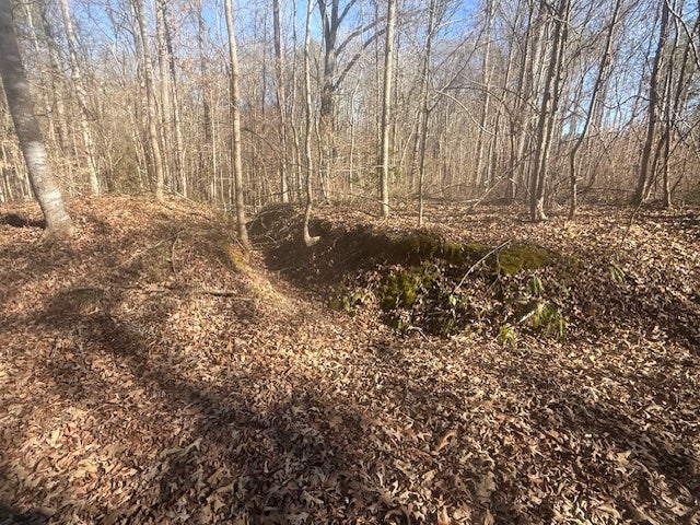 TRACT 1 GEORGE WALTER RD BOLIVAR, TN  8.92 ACRES
