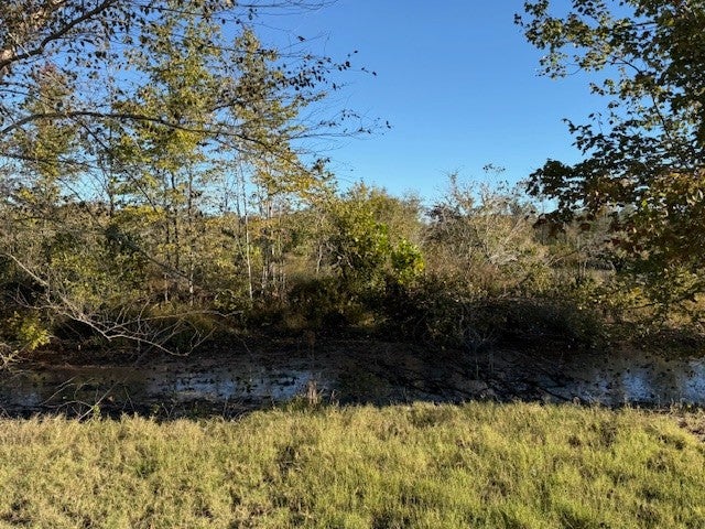 14.5 ACRES - TRACT 1 OVERTON LOOP — PHOTO / SURVEY 7