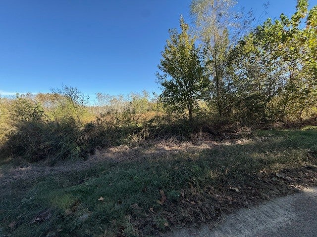 13.1 ACRES - TRACT 3 OVERTON LOOP — PHOTO / SURVEY 13