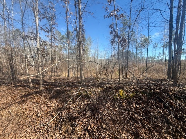 TRACT 1 GEORGE WALTER RD BOLIVAR, TN  8.92 ACRES — PHOTO / SURVEY 14