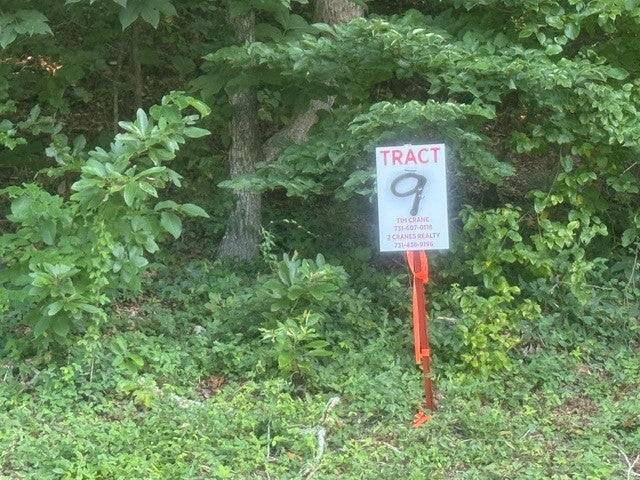 16.54 ACRES - COMBINED TRACTS 7, 8 & 9 CARROLL HOLLOW RD WAYNESBORO TN — PHOTO / SURVEY 8