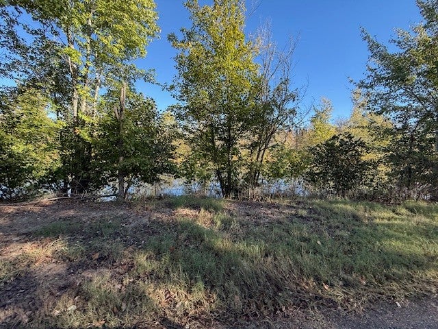 12 ACRES - TRACT 2 OVERTON LOOP — PHOTO / SURVEY 11